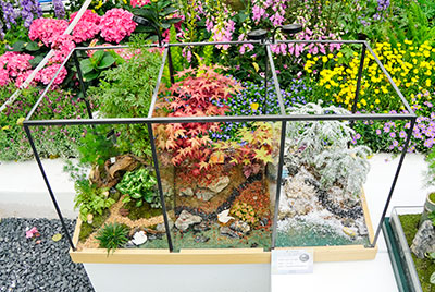 yl23455����(�й�)���޹�˾