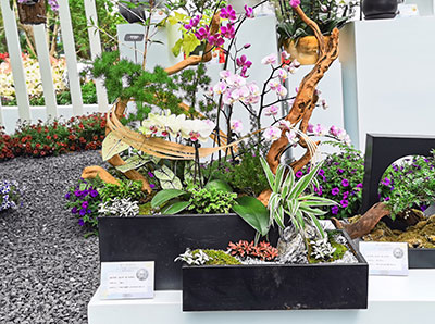 yl23455����(�й�)���޹�˾