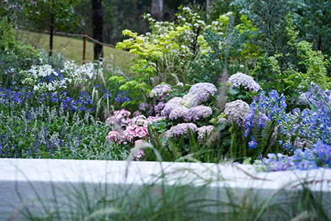 yl23455����(�й�)���޹�˾