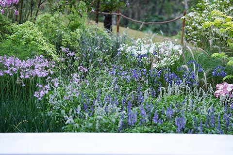 yl23455����(�й�)���޹�˾