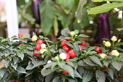 yl23455����(�й�)���޹�˾