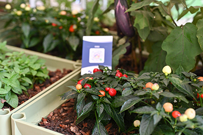 yl23455����(�й�)���޹�˾