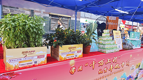 yl23455永利(中国)有限公司