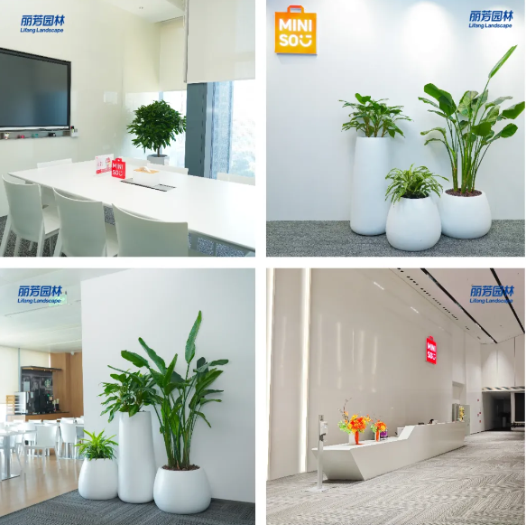 yl23455����(�й�)���޹�˾