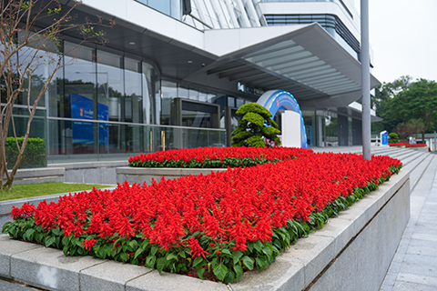 yl23455����(�й�)���޹�˾