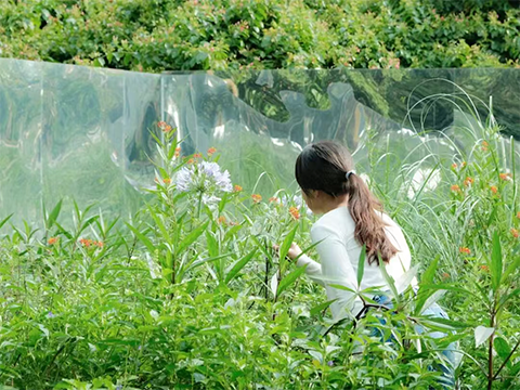 yl23455����(�й�)���޹�˾