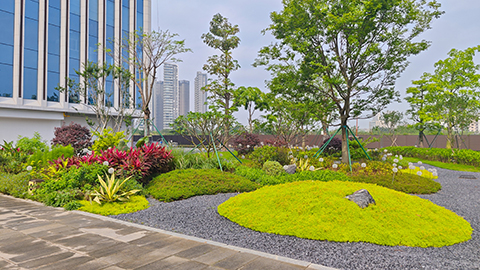 yl23455����(�й�)���޹�˾