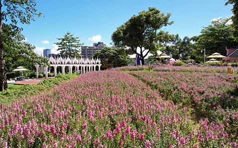 yl23455永利(中国)有限公司