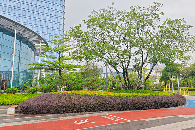 yl23455����(�й�)���޹�˾