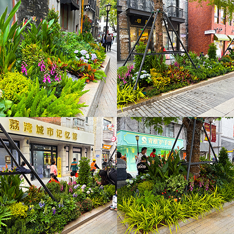 yl23455����(�й�)���޹�˾