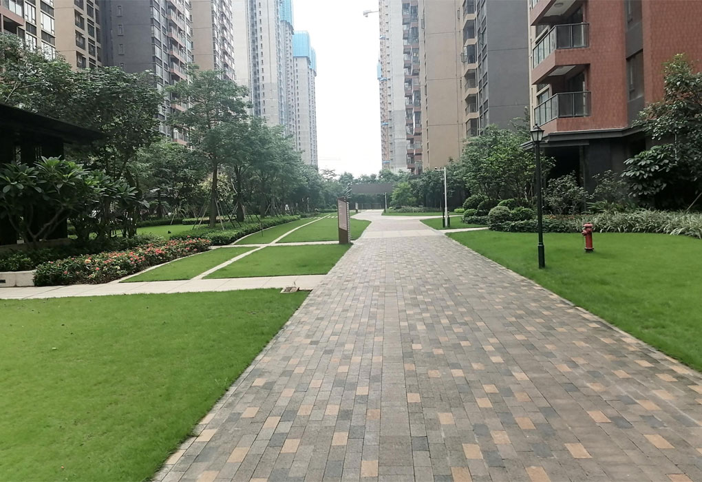 yl23455����԰��������Ŀ��Զ��ҵ����