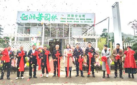 yl23455����԰�ֺ��Ϸֹ�˾ʢ��ҵ��������������ս�����г�