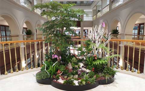 ���ޣ�yl23455����԰���ٻ�Ϊ��ǰ���������������عɡ��ո�����ͨ...