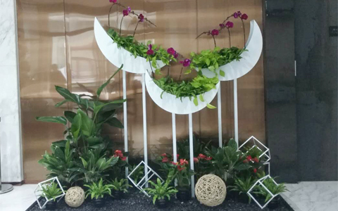 花卉摆放公司上门免费设计 绿植租赁价钱？？？？？？？