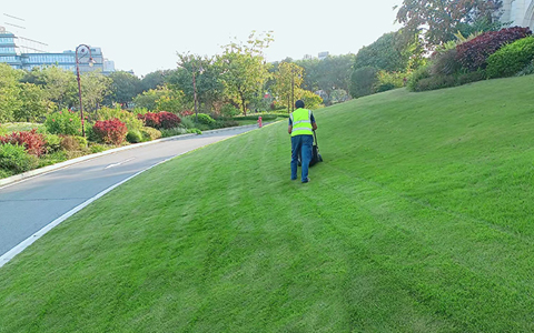 冬季养护美篇，，，，，，园林绿化怎么那么好?