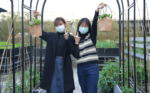 yl23455����԰�֣���˽�˶��ƵĶ���ũ������