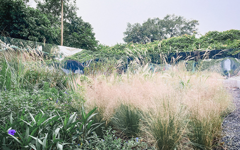 ��԰��԰�տ����������ָ���ֲᡷ�ذ�����