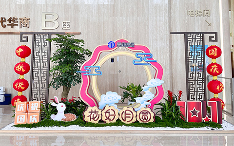 办公室绿植摆放，，，，，，节日花卉设计摆放计划