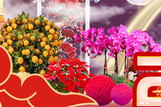 yl23455����(�й�)���޹�˾