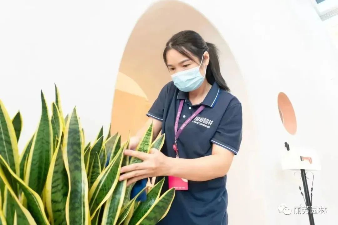 yl23455����(�й�)���޹�˾