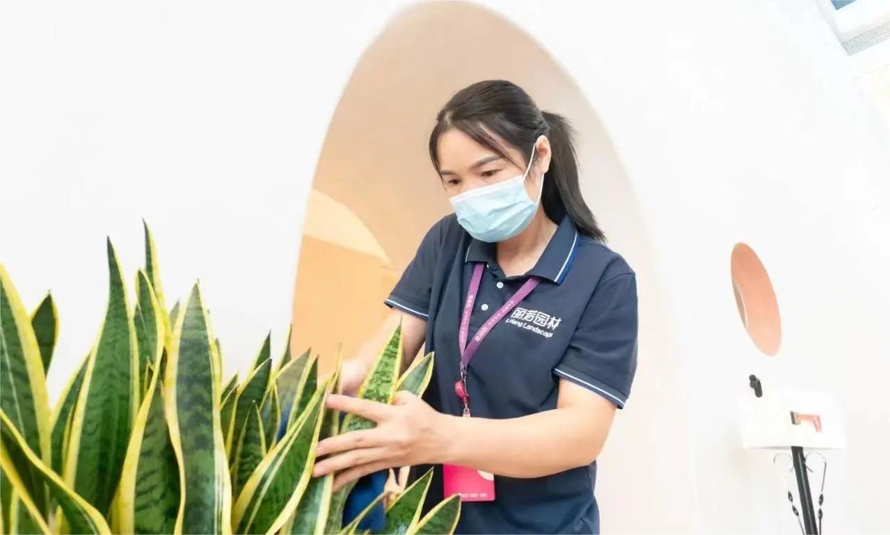 yl23455����(�й�)���޹�˾