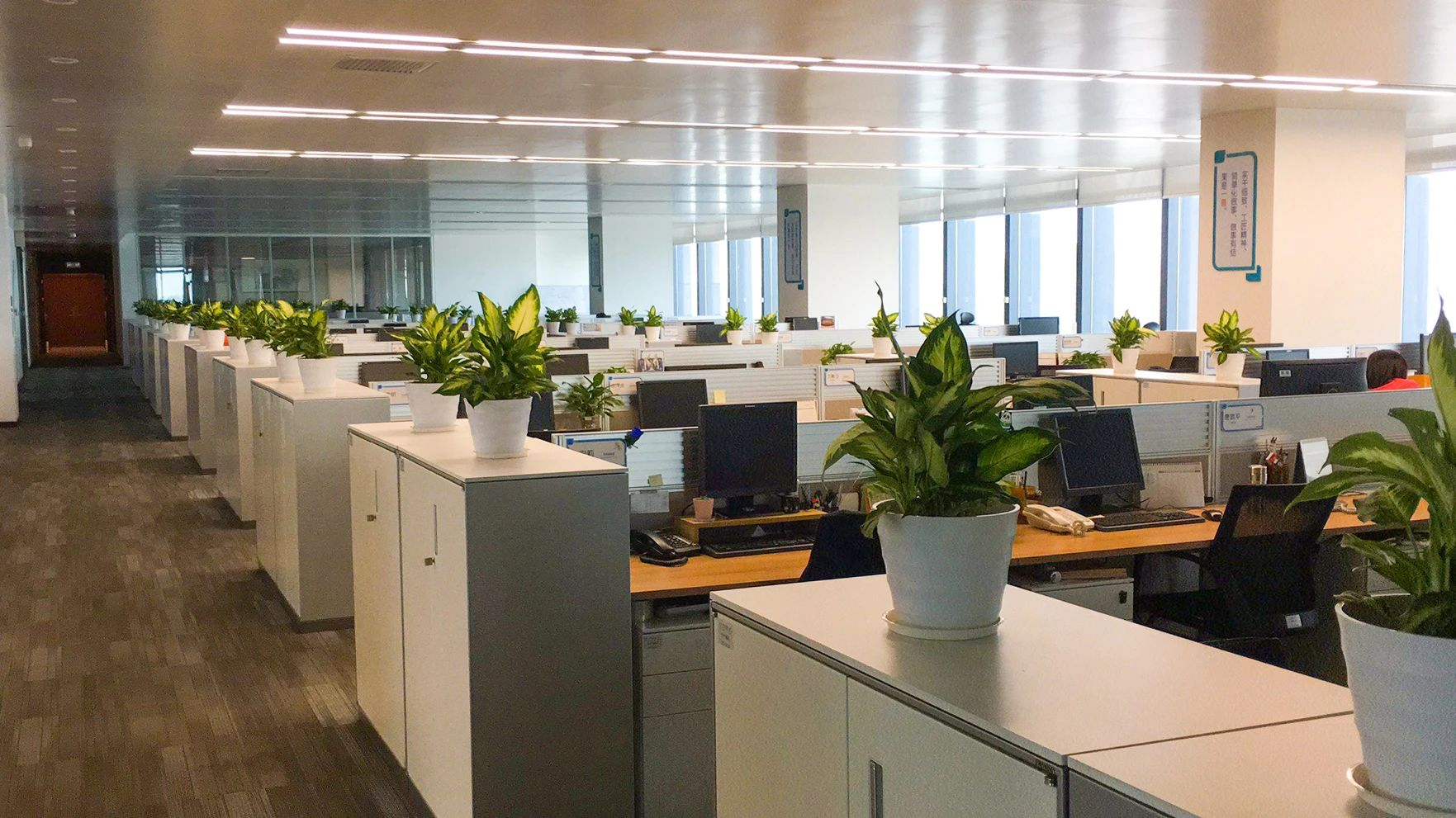 yl23455����(�й�)���޹�˾