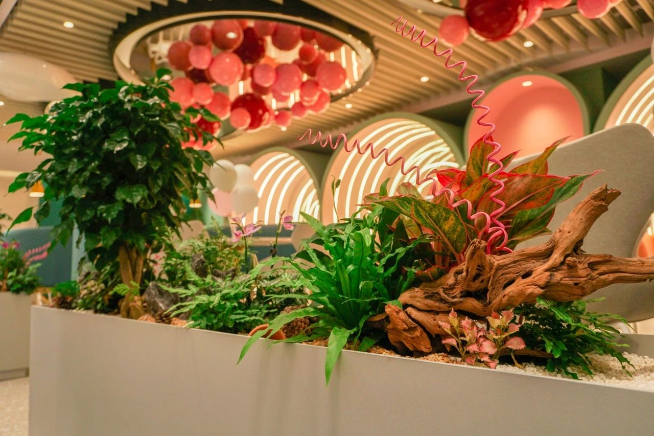 yl23455����(�й�)���޹�˾