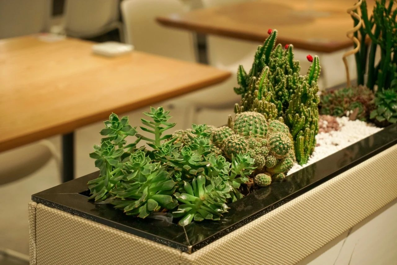 yl23455����(�й�)���޹�˾