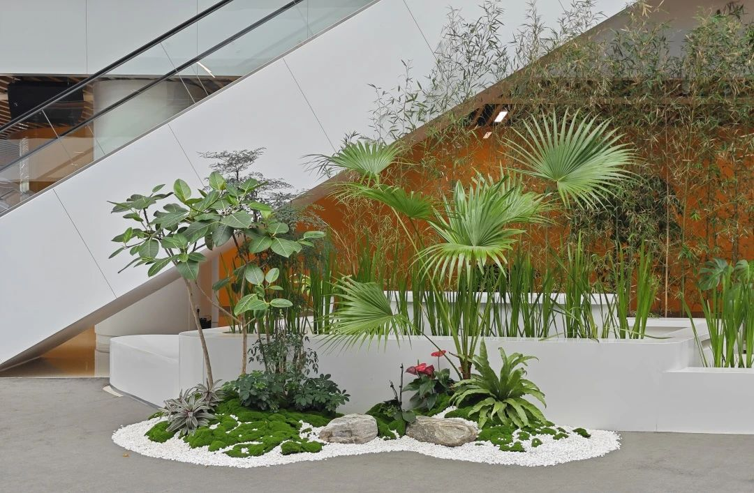 yl23455����(�й�)���޹�˾