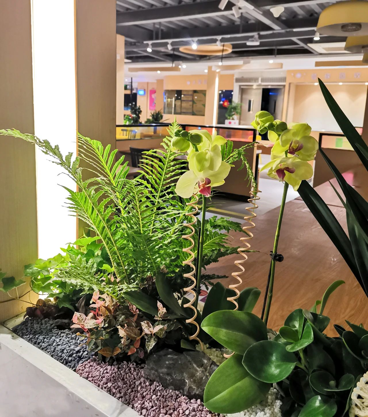 yl23455����(�й�)���޹�˾