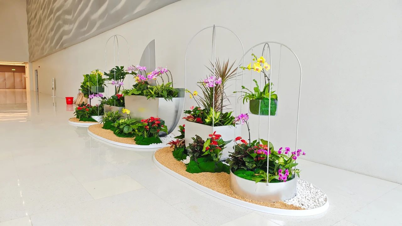 yl23455����(�й�)���޹�˾