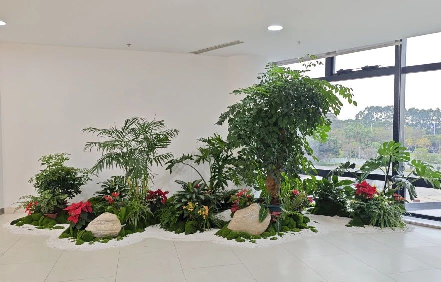 yl23455����(�й�)���޹�˾