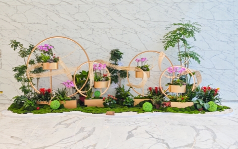 ��ֲ���� | ��ҵ�ռ���ֲ�쾰���ջ���