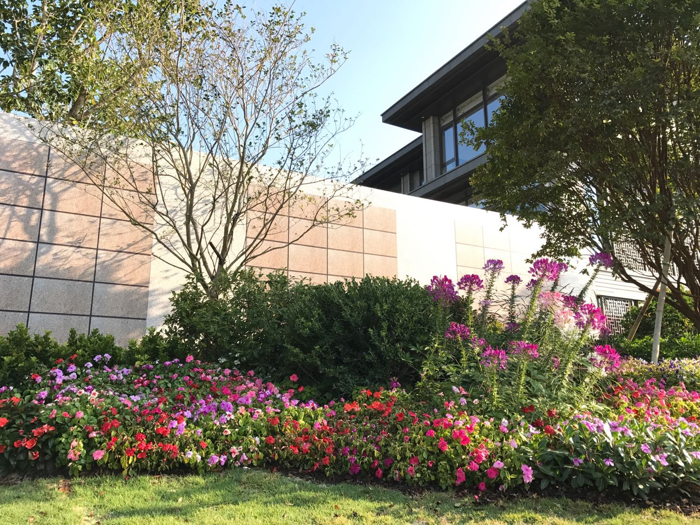 yl23455����(�й�)���޹�˾