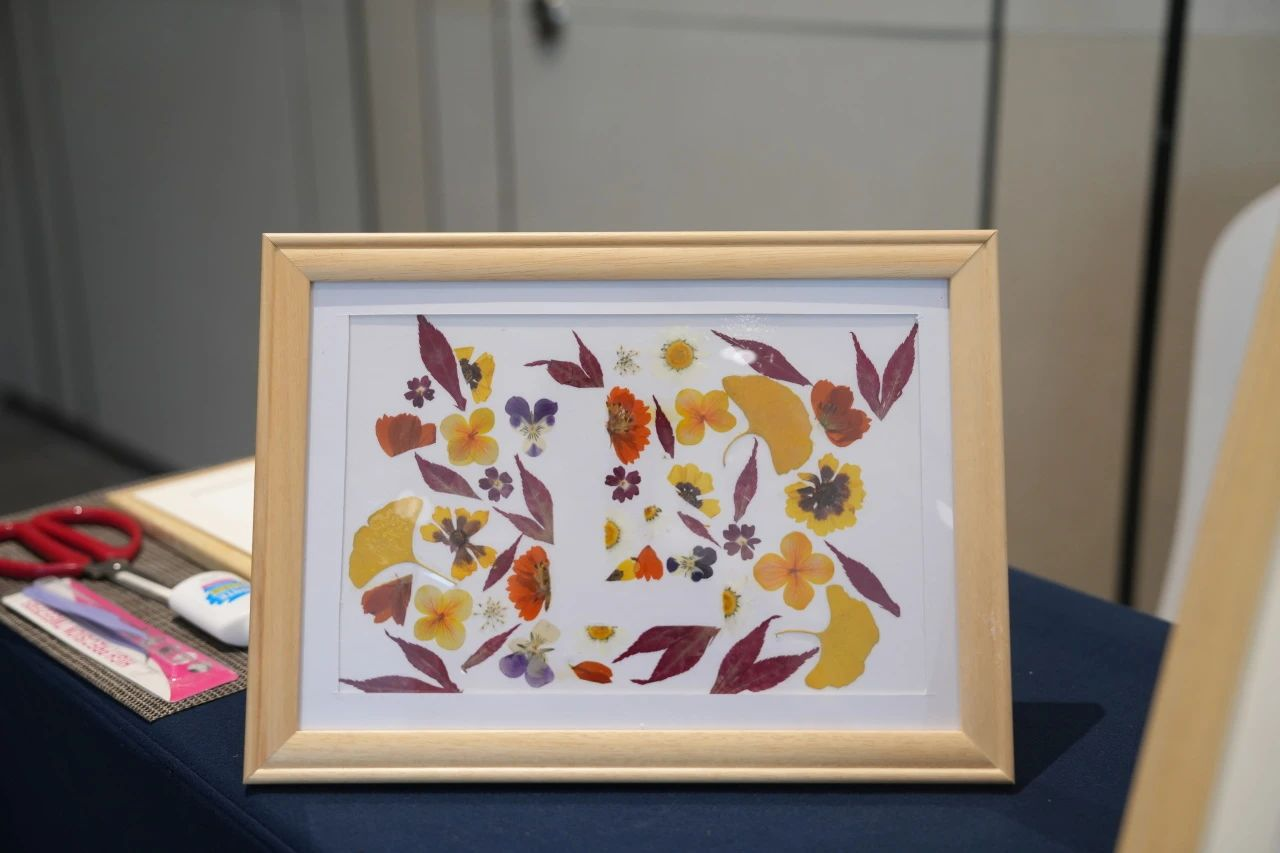 yl23455����(�й�)���޹�˾