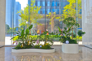 ����С�״�����ֲ���