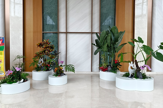 ��ݸ��Ϊ�з�������ֲ��ڰ���