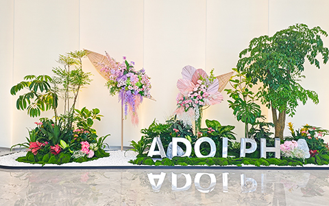 yl23455����԰������ֲ����Ϊ���������ܲ�������������������������߶�����칫�·�ʽ