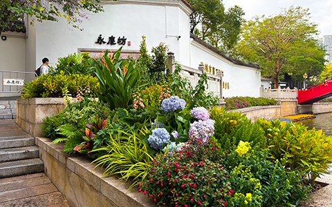 yl23455����԰�־�����ư��������������������������ء�����������